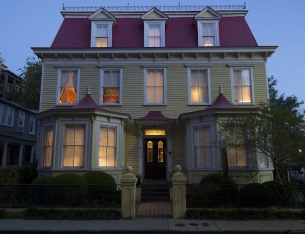 The 7 Best Dog-Friendly Hotels in Charleston, South Carolina